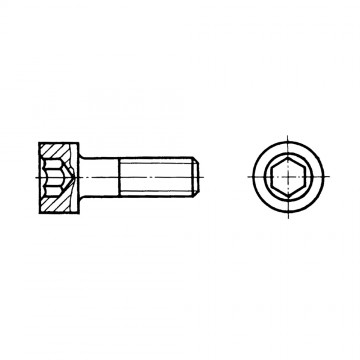 Винт ГОСТ 11738-84 с цилиндрической головкой и шестигранным углублением под ключ