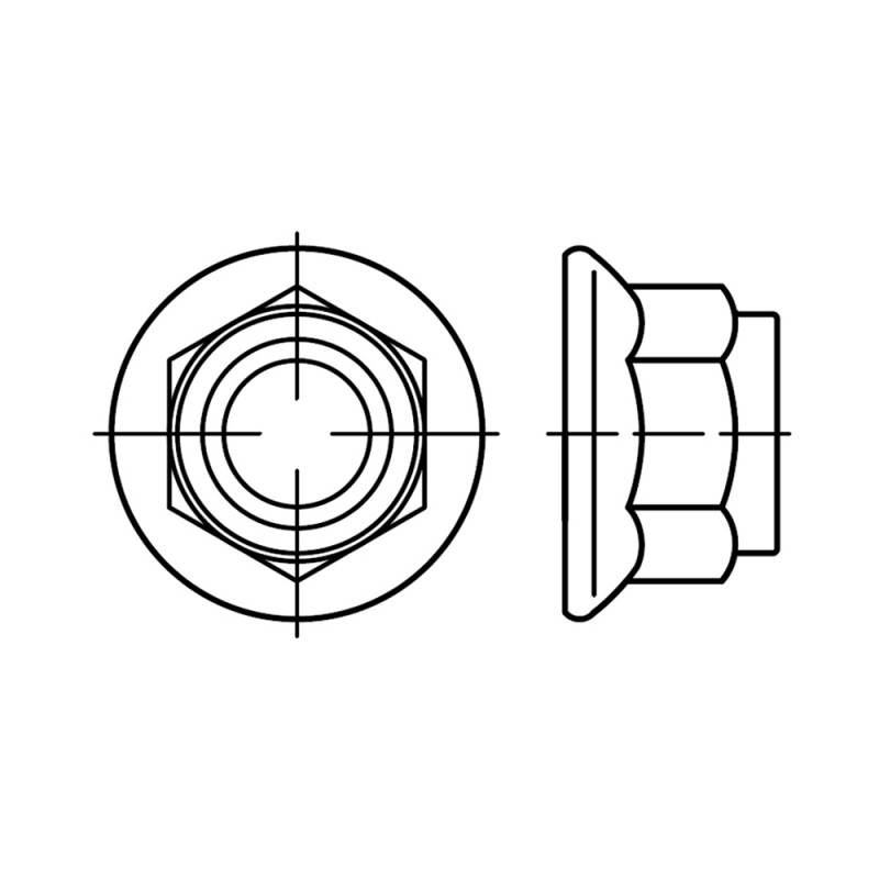 Гайка EN 1663 самоконтрящаяся с фланецем с пластиковой вставкой от 23. .