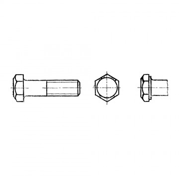 Болт М10-6gх40.88.019 ГОСТ 7805-70