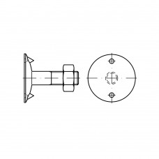 DIN 15237 Болт 10* 40 с тарельчатой головкой, сталь