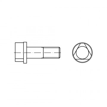 Болт 8х30 с трехгранной головкой и буртиком, сталь 8.8 DIN 22424