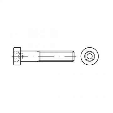 Винт М8х110 с цилиндрической головкой и внутренним шестигранником, сталь 8.8 DIN 6912
