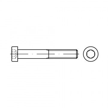 Винт 20х120 цилиндр внутренний шестигранник, сталь 8.8 DIN 7984