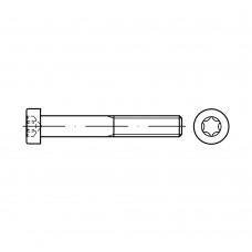 DIN 7984 Винт 8* 16 с цилиндрической головкой TORX, сталь 8.8, цинк