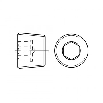 Пробка 14 с резьбой, внутренний шестигранник, сталь DIN 906