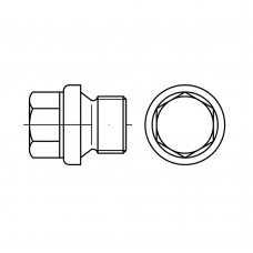 DIN 910 Пробка 20х1,5 сталь