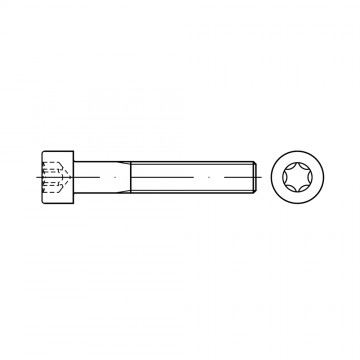 Винт М8х20 цилиндр TORX, сталь 8.8, цинк DIN 912