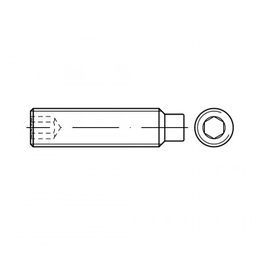 Винт М10х10 установочный, внутренний шестигранник, с цапфой, сталь нержавеющая А1 DIN 915