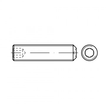Винт М6х0,75х8 установочный, внутренний шестигранник, засверленный конец, сталь DIN 916