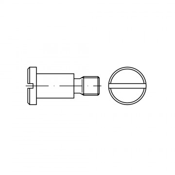 Винт 4х6 ступенчатый установочный, сталь 4.8 DIN 923