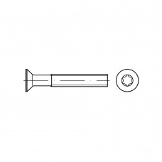 DIN 965 Винт М2* 4 с потайной головкой TORX, сталь нержавеющая А2