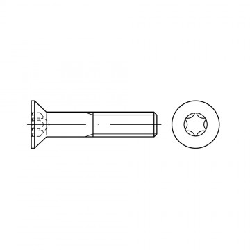 Винт 4х10 потайной TORX, сталь 8.8, цинк ISO 10642