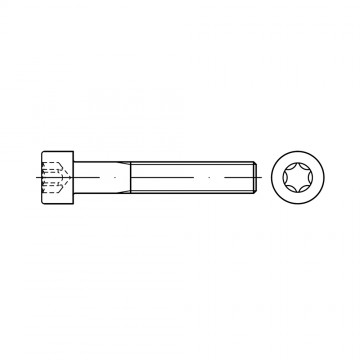 Винт 6х20 цилиндр TORX, сталь 8.8, цинк ISO 14579