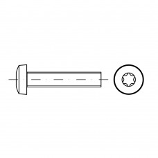 ISO 14583 Винт 10* 12 цилиндр TORX, сталь нержавеющая А2