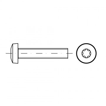 Винт 2,5х10 цилиндр TORX, сталь 4.8, цинк ISO 14583