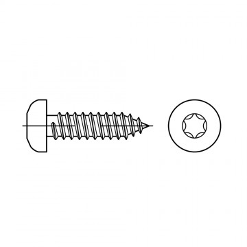 Саморез 4,8х38 с округленной головкой TORX, сталь, цинк ISO 14585