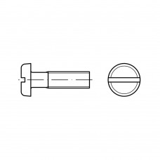 ISO 1580 Винт 5* 10 с полукруглой головкой прямой шлиц, пластик