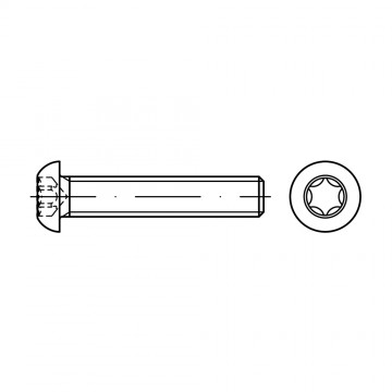 Винт 5х8 с полукруглой головкой TORX, сталь 10.9, цинк ISO 7380-1